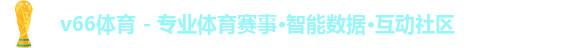 v66体育